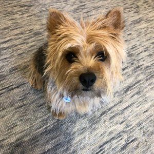 Meet your Posher, Jen